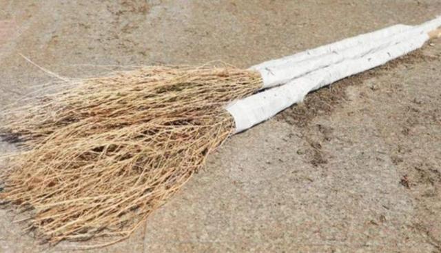 堪称世界上最委屈的植物，在日本被当成国宝，在中国被做成扫把