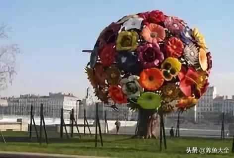 古树开花，别样的风韵！