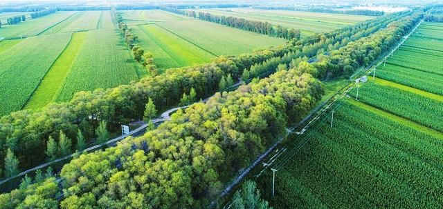 全民共建 绿美吉林——2020年全省计划完成造林绿化140万亩