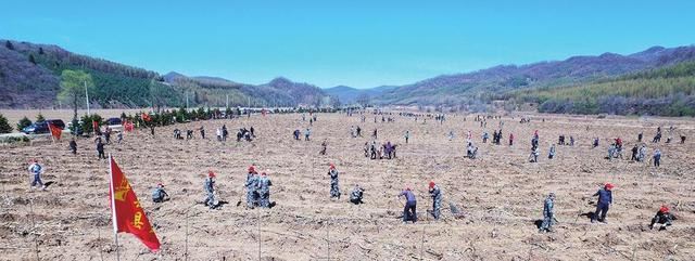 全民共建 绿美吉林——2020年全省计划完成造林绿化140万亩