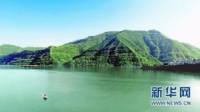 各地林草头条｜造林1140万亩 重庆按下国土绿化“快进键”