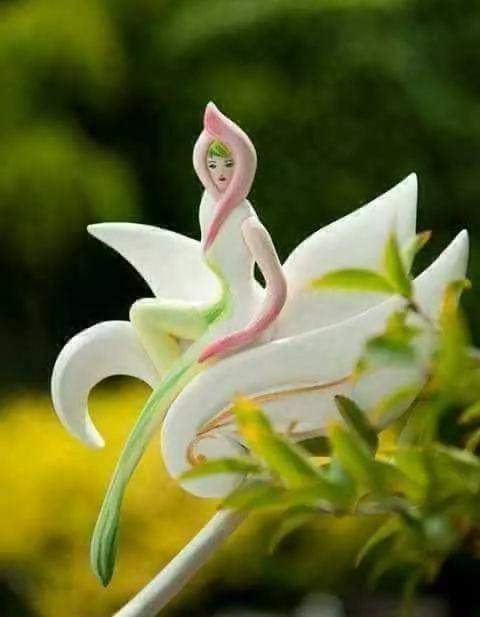 奇花异卉，太漂亮了