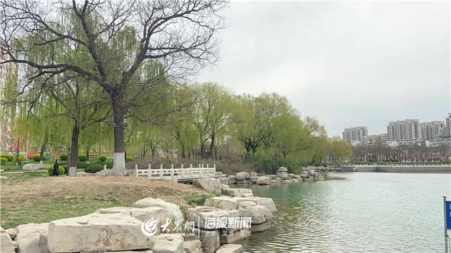 德州平原县综合行政执法局以“绣花功夫”打造高标准城市绿化环境