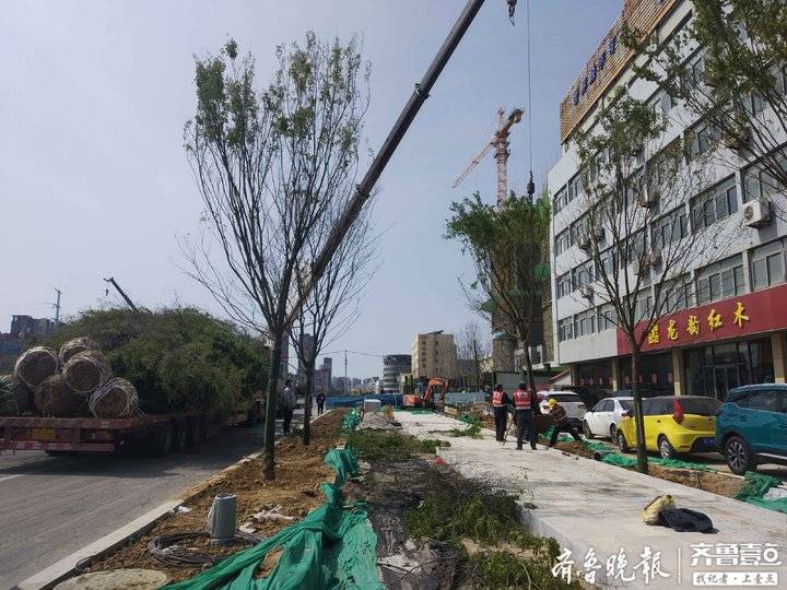 烟台市区今年计划实施绿化工程24项，春季城市绿化工作全面提速