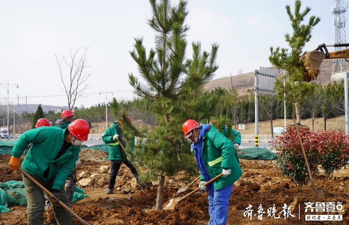 烟台市区今年计划实施绿化工程24项，春季城市绿化工作全面提速
