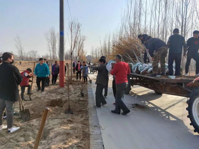 亮化、绿化、美化！河间尊祖庄乡开启“加速键”