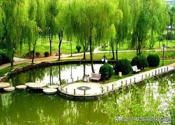 围场广宇苗木谈绿化，一个绿色的环境将给城市带来怎样的提升？