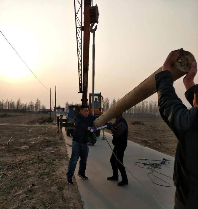 亮化、绿化、美化！河间尊祖庄乡开启“加速键”