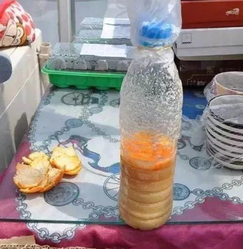 用牛奶浇花，这一步给落了，不出一周土里就长毛
