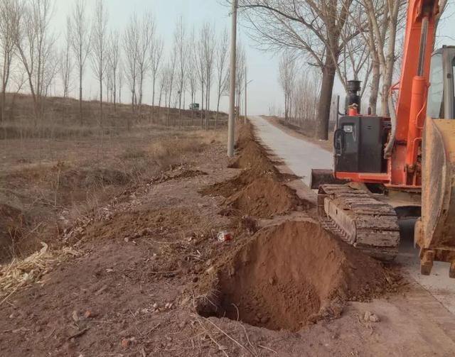 亮化、绿化、美化！河间尊祖庄乡开启“加速键”