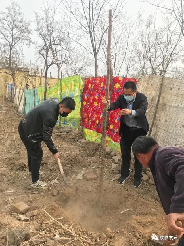 商林乡三个贫困村的春天：献县中医院出资6万元为贫困村添绿