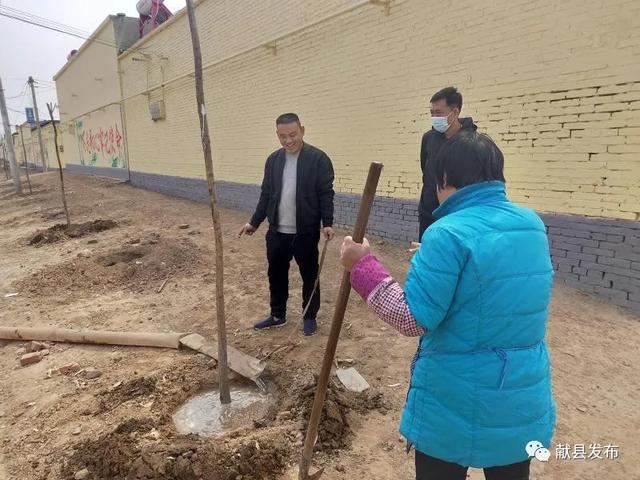 商林乡三个贫困村的春天：献县中医院出资6万元为贫困村添绿