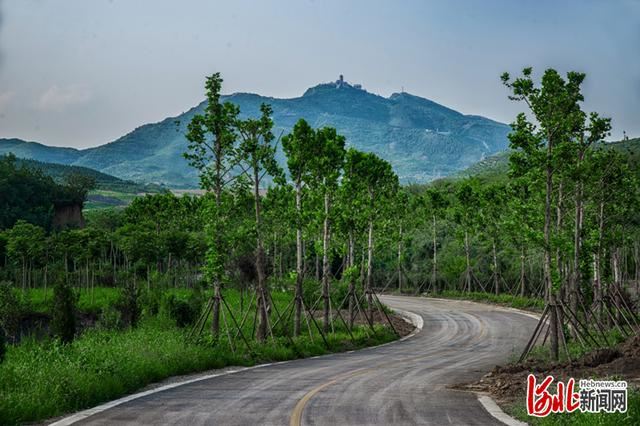 省市共推!河北这48条“春观花”旅游线路藏不住了! 省市共推!河北这48条“春观花”旅游线路藏不住了!