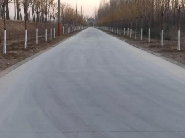 亮化、绿化、美化！河间尊祖庄乡开启“加速键”