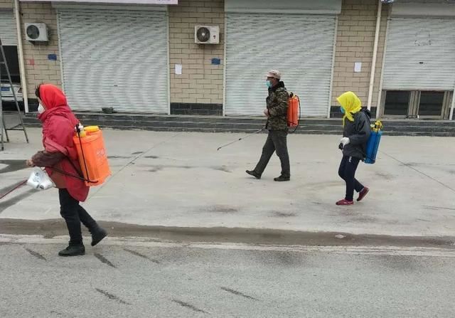 亮化、绿化、美化！河间尊祖庄乡开启“加速键”