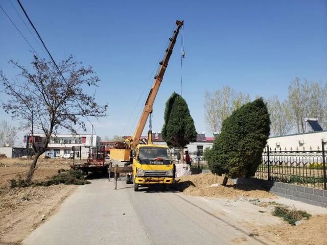 亮化、绿化、美化！河间尊祖庄乡开启“加速键”