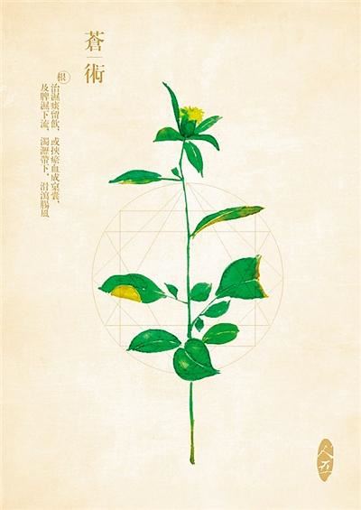苍术芳香避疫情