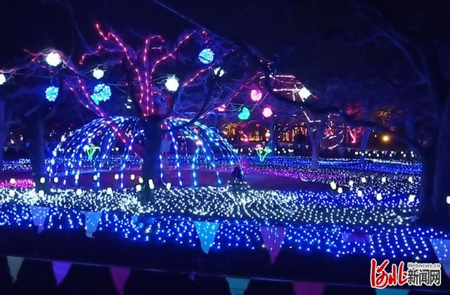 省市共推!河北这48条“春观花”旅游线路藏不住了! 省市共推!河北这48条“春观花”旅游线路藏不住了!