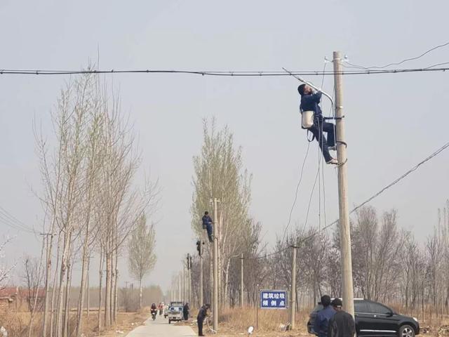 亮化、绿化、美化！河间尊祖庄乡开启“加速键”