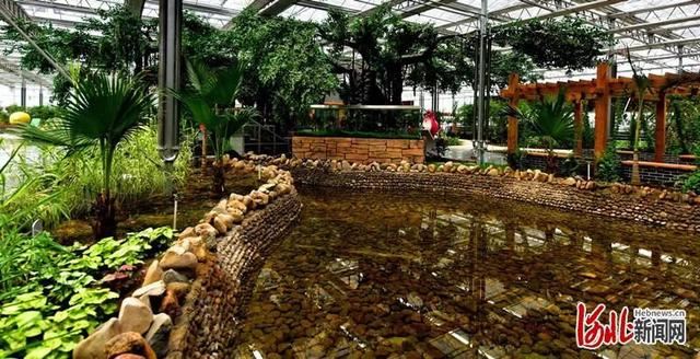 省市共推!河北这48条“春观花”旅游线路藏不住了! 省市共推!河北这48条“春观花”旅游线路藏不住了!