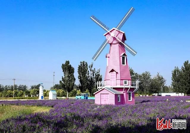 省市共推!河北这48条“春观花”旅游线路藏不住了! 省市共推!河北这48条“春观花”旅游线路藏不住了!