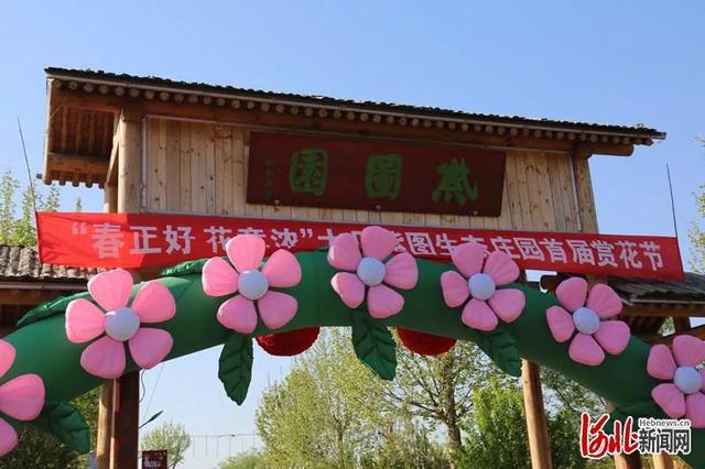 省市共推!河北这48条“春观花”旅游线路藏不住了! 省市共推!河北这48条“春观花”旅游线路藏不住了!