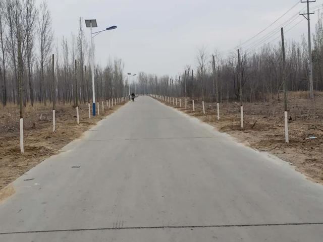 亮化、绿化、美化！河间尊祖庄乡开启“加速键”