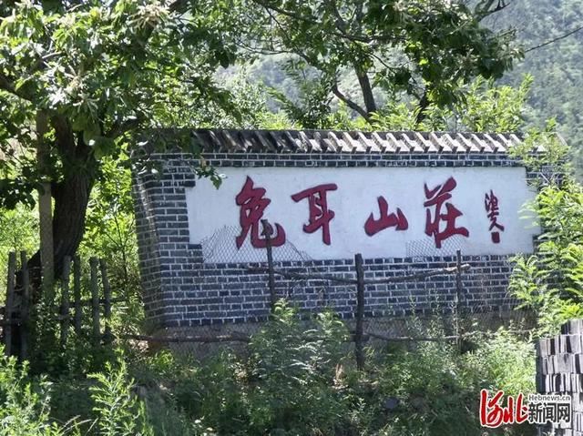 省市共推!河北这48条“春观花”旅游线路藏不住了! 省市共推!河北这48条“春观花”旅游线路藏不住了!