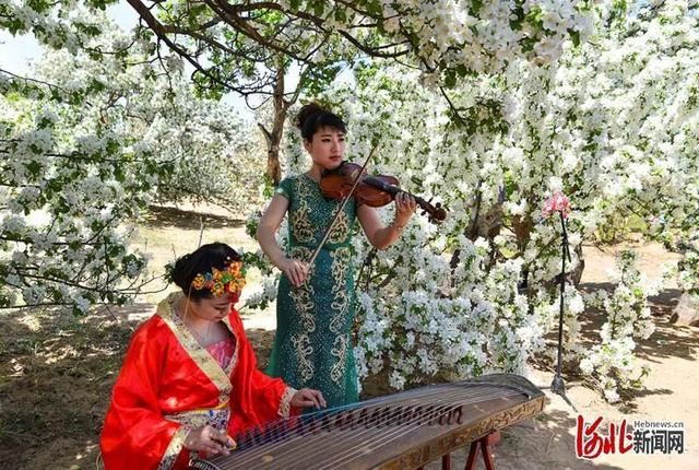 省市共推!河北这48条“春观花”旅游线路藏不住了! 省市共推!河北这48条“春观花”旅游线路藏不住了!