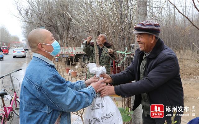北环路百余种花卉苗木供需两旺