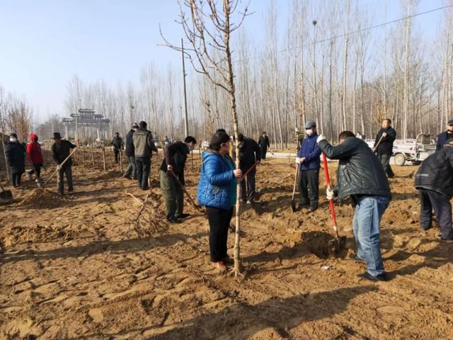 亮化、绿化、美化！河间尊祖庄乡开启“加速键”