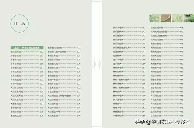 常见作物主要病虫害防治实用技术手册