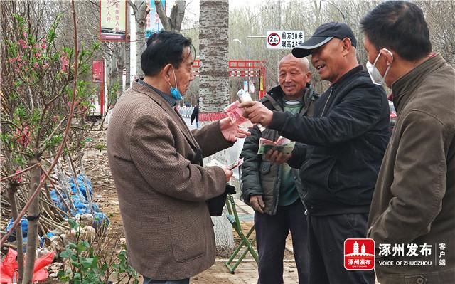 北环路百余种花卉苗木供需两旺