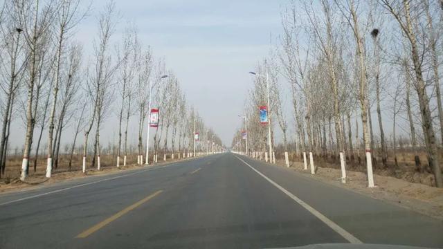 亮化、绿化、美化！河间尊祖庄乡开启“加速键”