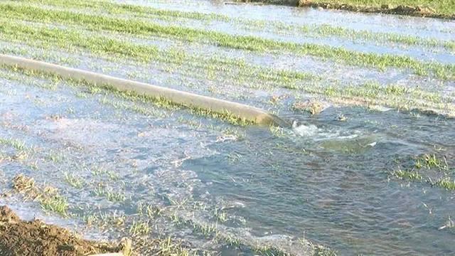 景县广播看，春来了