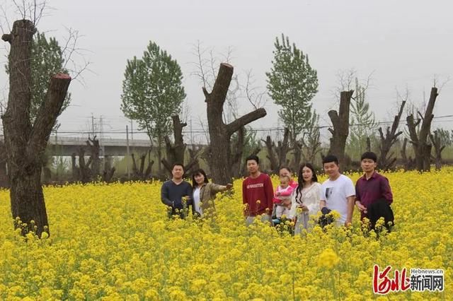 省市共推!河北这48条“春观花”旅游线路藏不住了! 省市共推!河北这48条“春观花”旅游线路藏不住了!