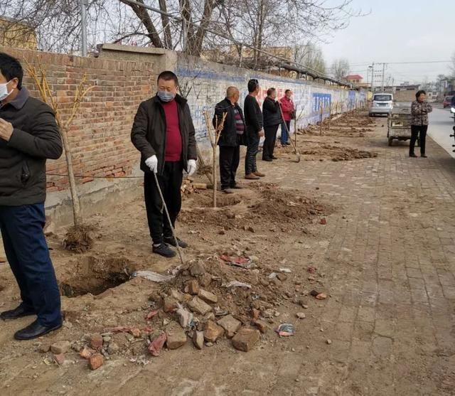 亮化、绿化、美化！河间尊祖庄乡开启“加速键”