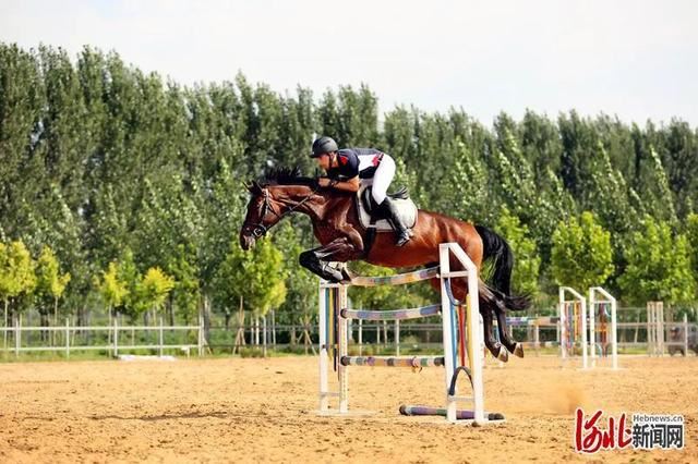 省市共推!河北这48条“春观花”旅游线路藏不住了! 省市共推!河北这48条“春观花”旅游线路藏不住了!