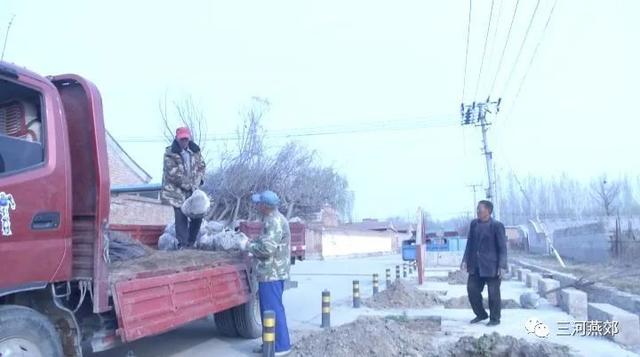 燕郊镇开展人居环境整治植树活