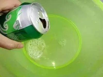 用牛奶浇花，这一步给落了，不出一周土里就长毛