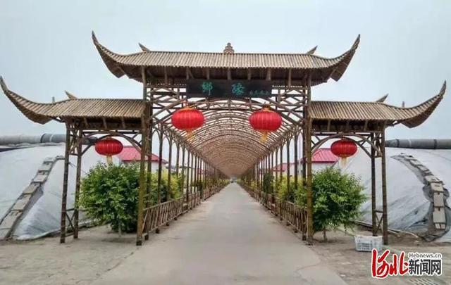 省市共推!河北这48条“春观花”旅游线路藏不住了! 省市共推!河北这48条“春观花”旅游线路藏不住了!