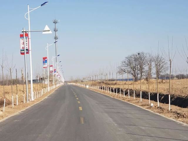 亮化、绿化、美化！河间尊祖庄乡开启“加速键”