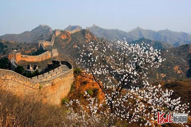 省市共推!河北这48条“春观花”旅游线路藏不住了! 省市共推!河北这48条“春观花”旅游线路藏不住了!