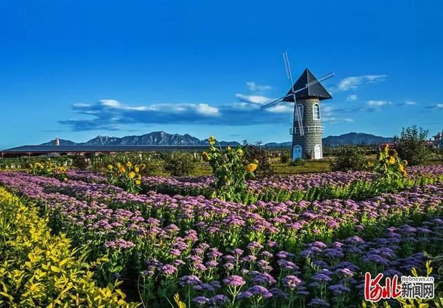 省市共推!河北这48条“春观花”旅游线路藏不住了! 省市共推!河北这48条“春观花”旅游线路藏不住了!