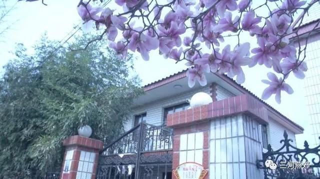 燕郊镇开展人居环境整治植树活