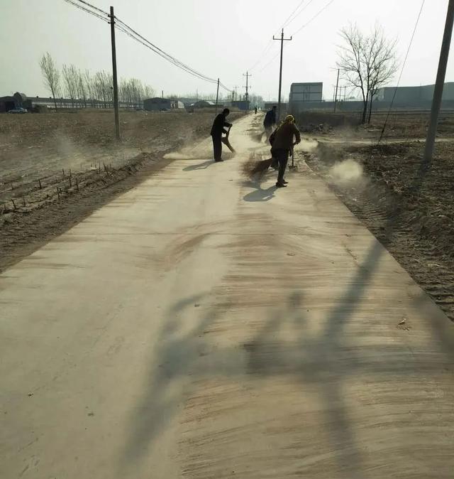 亮化、绿化、美化！河间尊祖庄乡开启“加速键”