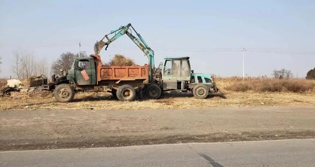 亮化、绿化、美化！河间尊祖庄乡开启“加速键”