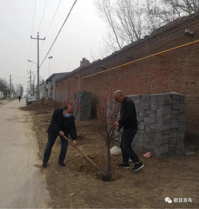 商林乡三个贫困村的春天：献县中医院出资6万元为贫困村添绿