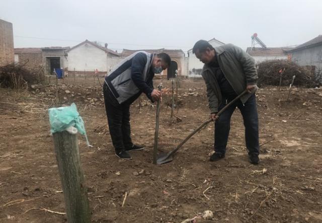 吴桥：残垣断壁上长出了摇钱树