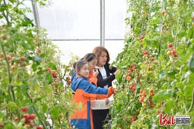 省市共推!河北这48条“春观花”旅游线路藏不住了! 省市共推!河北这48条“春观花”旅游线路藏不住了!